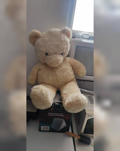 Oso de peluche blanco y marrón
