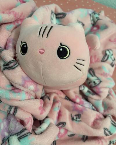 Peluche